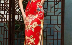 国产精品久久久久久久9999